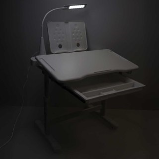 Biurko dziecięce szkolne regulowane krzesło lampka LED USB białe