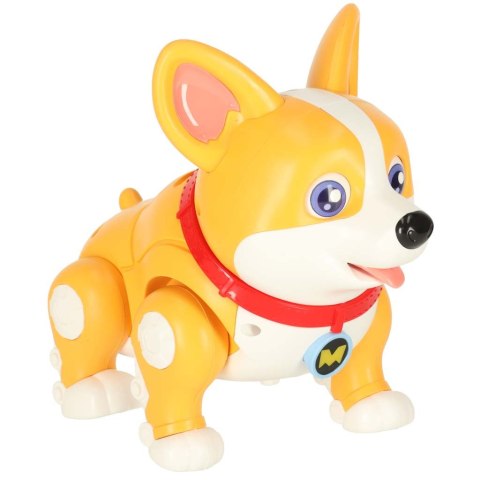 Pies piesek interaktywny robot Corgi świecące uszy muzyka